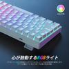 iClever G05 Tenkeyless Mechanical Gaming Keyboard, Japanese Layout, 88 Keys, 75% Size, 23 RGB Backlights, Customizable Backlighting, Quiet, Wired,