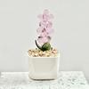 Faux Crystal Flower Figurine Mini Hand Blown Glass Potted Flower Ornament for Home Office Table Decor Gifts for Wedding Birthday Mother's