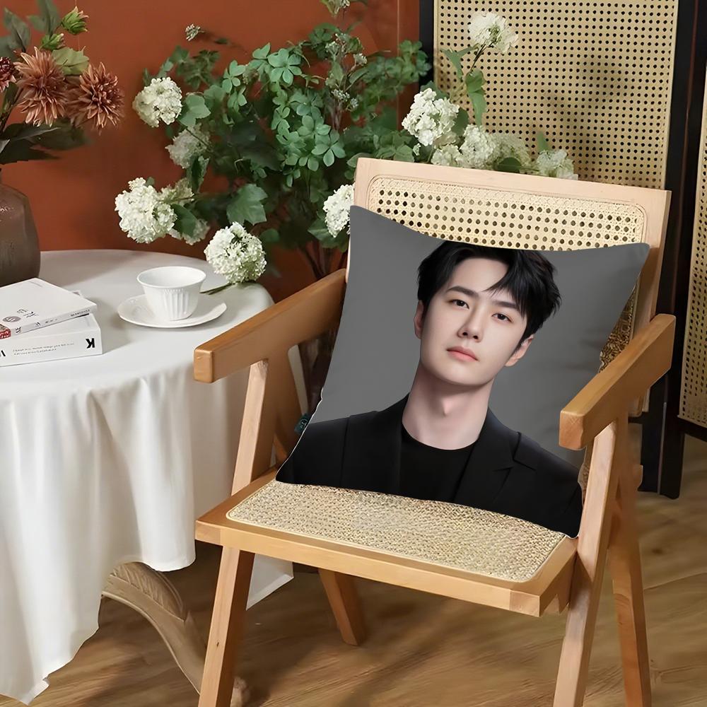 

Actor WWang Yibo Cushion Cover Silky Short Plush Invisible Zipper Dustproof Sofa Pillow Case for Home Decor 30x30cm