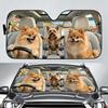 Dog P-Pomeranian Sun Visor Car Windshield Sun Shade UV Protection Foldable Heat Insulation Universal Auto Cover