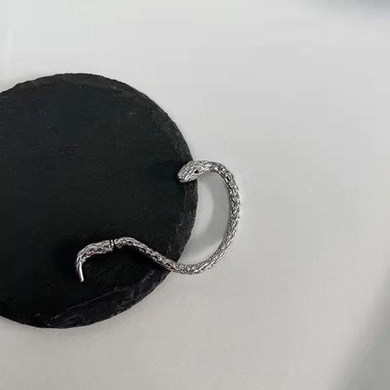 1/2 Stück Unisex-Ohrclip in Schlangenform, polierte Legierung, Retro-Hip-Hop-Stil, amerikanischer Stil, Straße, 3D-geschnitzte Schuppen, Ohrringe, Club-Party-Ohrschmuck