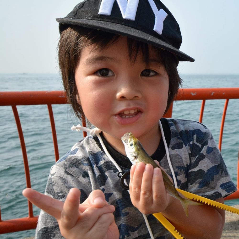 Hayabusa  Hayabusa  Sardine Specialty  3  X3  Keimura