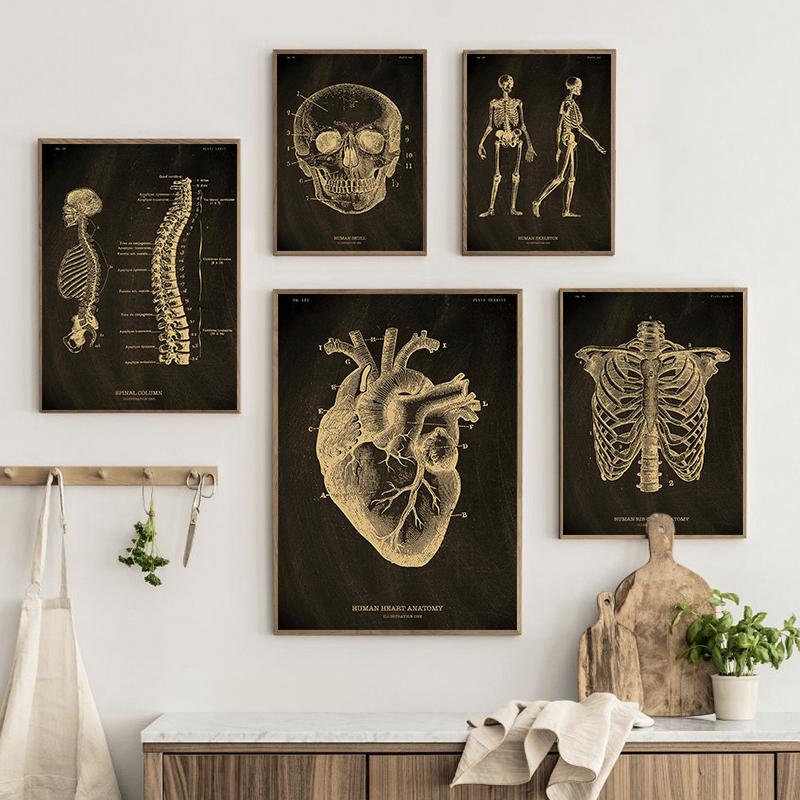 Δομή ανθρώπινης ανατομίας Vintage αφίσα Εκτύπωση σκανδιναβικής τέχνης καμβά με χρυσό σκελετό όργανα Ζωγραφική εικόνες τοίχου Ιατρική διακόσμηση σπιτιού