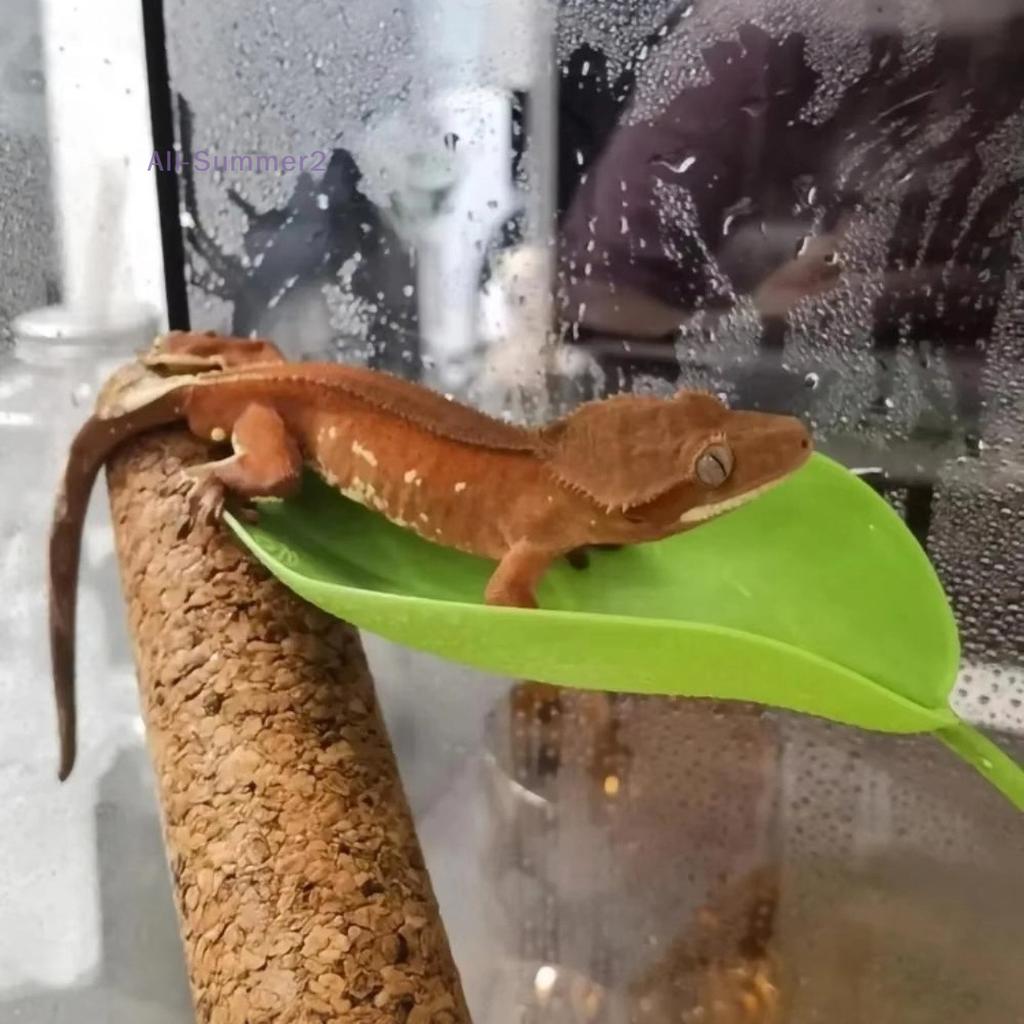 {MX} 1/3Pcs Simulated Leaves Suction Cup Reptile Basking Area Resting Terrace For Geckos Frog Habitat Fish Tank Accessories