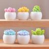 BUYUP Plante Grase Miniaturale în Ghivece, Set de 6, Figurine Drăguțe, Ornamente Liniștitoare Tip Bonsai, Accesorii pentru Masă, Ornamente pentru Hol, Floare
