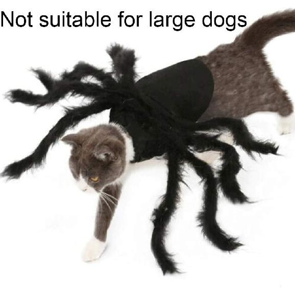 Dog Cat Spider Costume for Halloween Party Decoration, Halloween Cosplay Costumes for Small Dogs and Cat, Puppy Dress Up Accessories