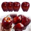 Pack Of 4 Artificial Red Apples Replicas Ornament For Home Decoration And Photography Property Realistic Faux Fruit