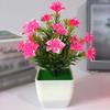 Allergy Mini Simulation Blossom Bonsai Artificial Plant for Home Office