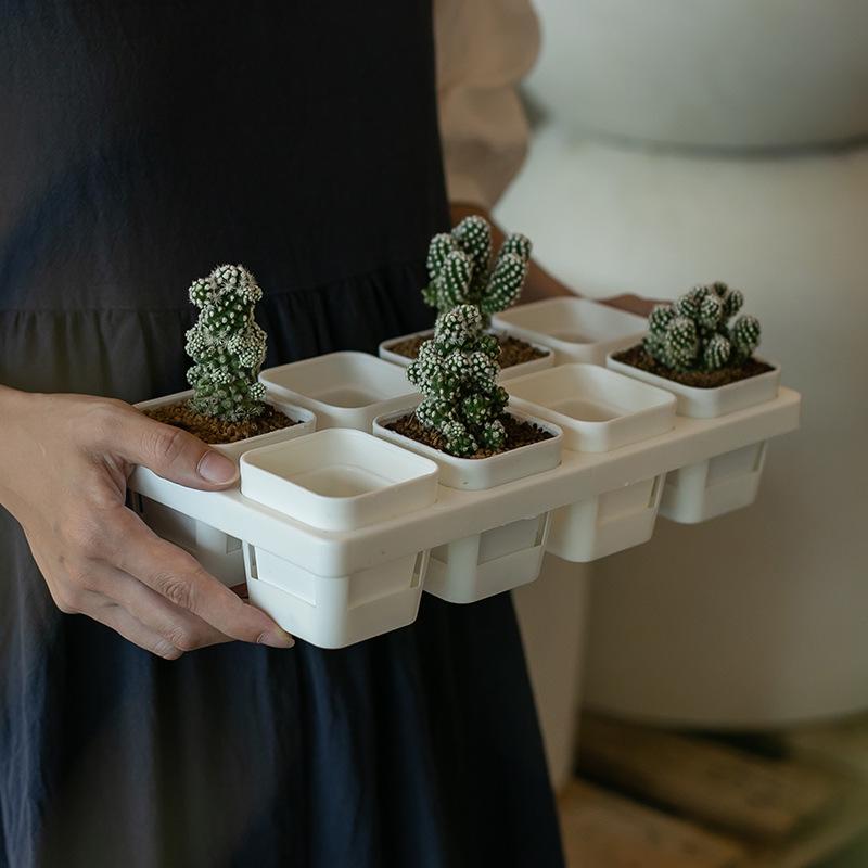Small Black Square Succulent Seedling Tray - Thickened Plastic Pot Stand & Water Catcher