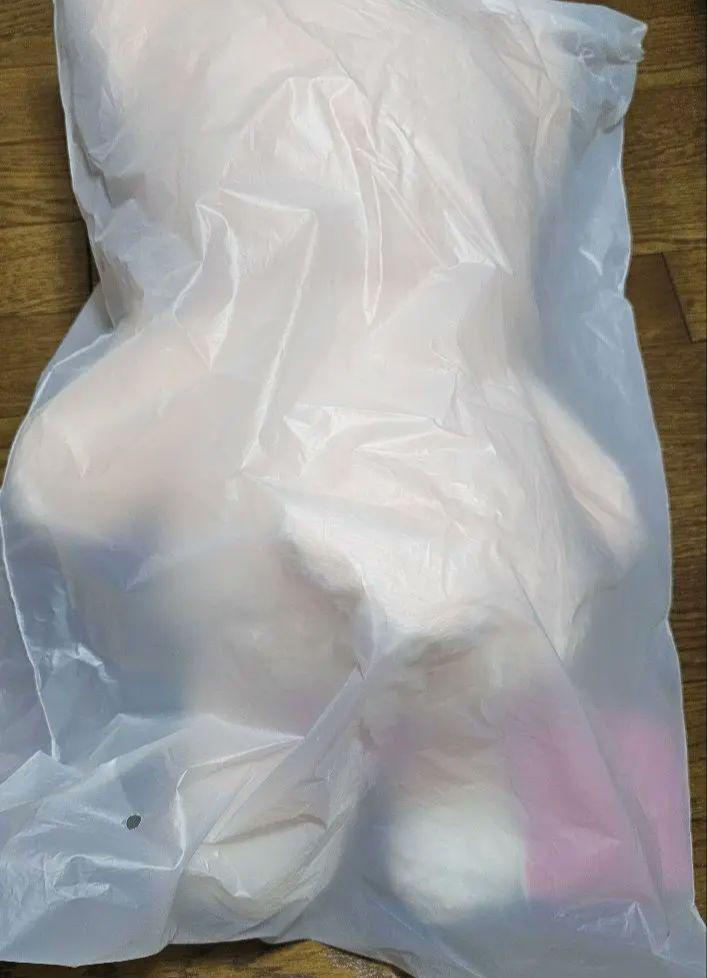 [USED] StrayKids SKZOO Teddy Bear, FoxINy