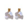 Silver Needle Acrylic Flower Earrings - Unique, Fashionable, Lightweight Luxury Accessory