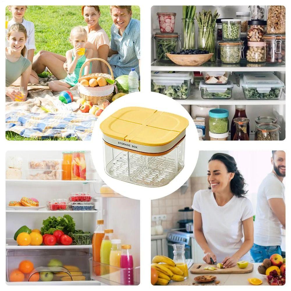 4 Grids Garlic Storage Containers BPA Free Vegetable Divided Organizers  Herb