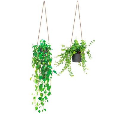 [R1824] - Sheet of Stickers 'Suspensions Plantes' Green - 50x70 Cm