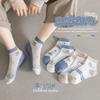 Meow Read Kids Plain Mesh Socks (5 Pairs)