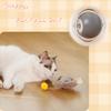 Cat Interactive Toys Ball Cover Set Fast Rolling In Pouch Hide and Seek Kitten Toy Motion Activated Interactive Cat Toy Indoor