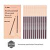 14b Matte Charcoal Sketching Pencils Set for Students & Professionals