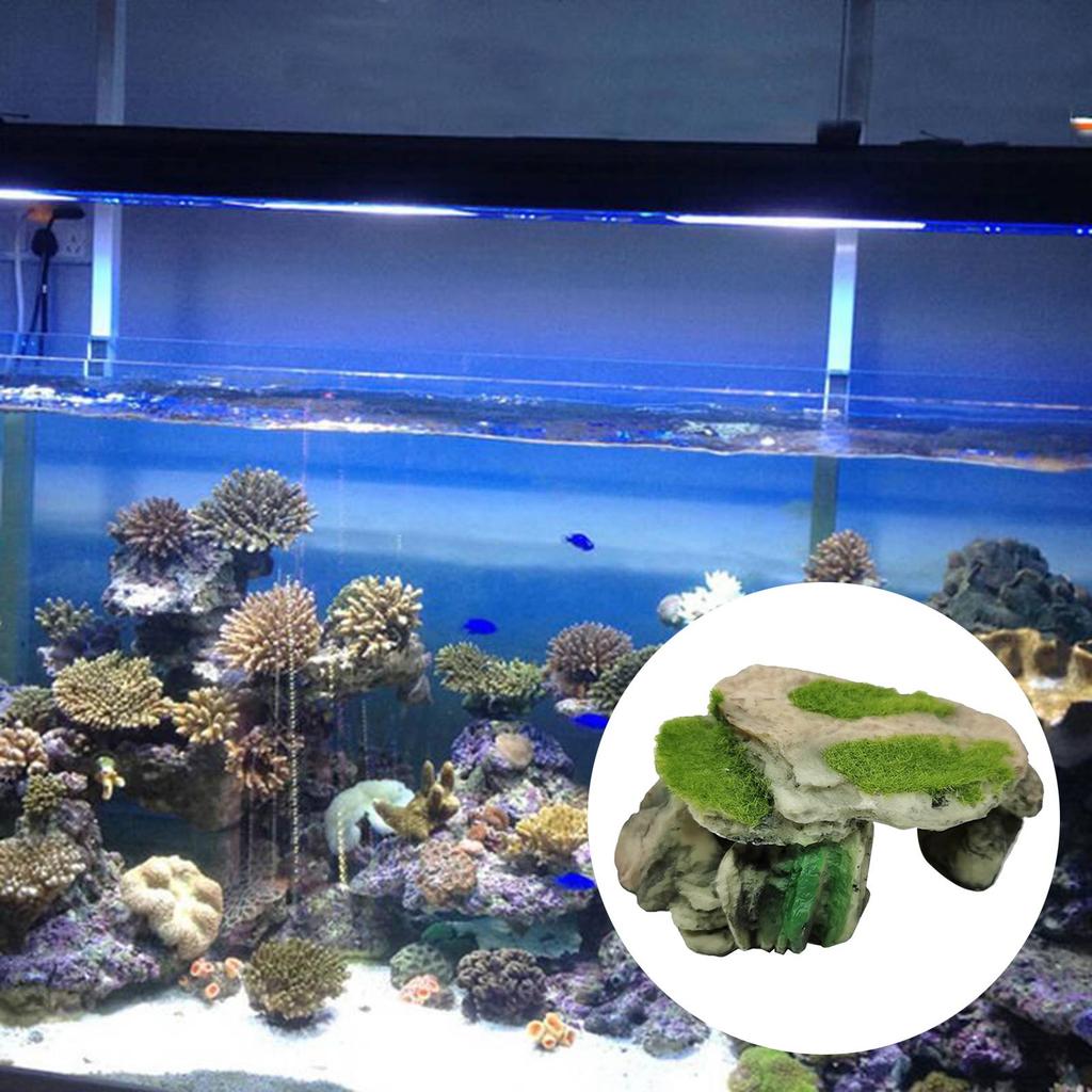 Tortoise Reptile Hiding Cave Fish Aquarium Decoration Durable Hideouts House