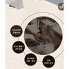 Kids Casual Sneakers Girls Boys Strap School Shoes With Cushioned Sole Age 7-16 Years