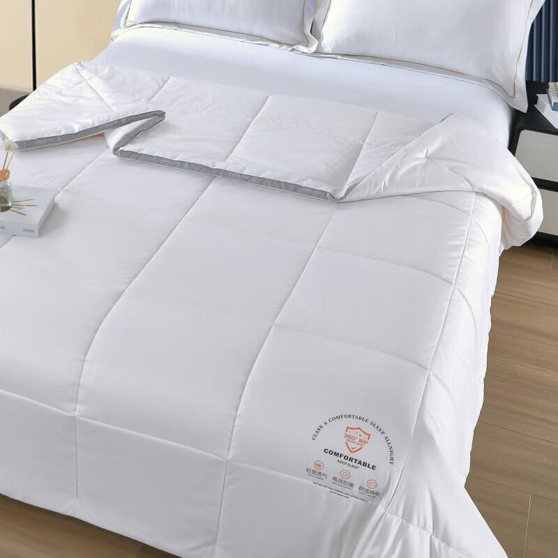 PLAYBOY All-Season Antibacterial Down Velvet Quilt