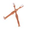 Eco-friendly PVC Bachelorette Party Funny Toothbrush Prop: JJ & Female Boob Design
