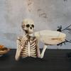 Resin Skull Tray Decorative Ornament - Versatile Indoor/Outdoor Halloween Decoration, Creative Room Accent, Ideal Holiday Gift