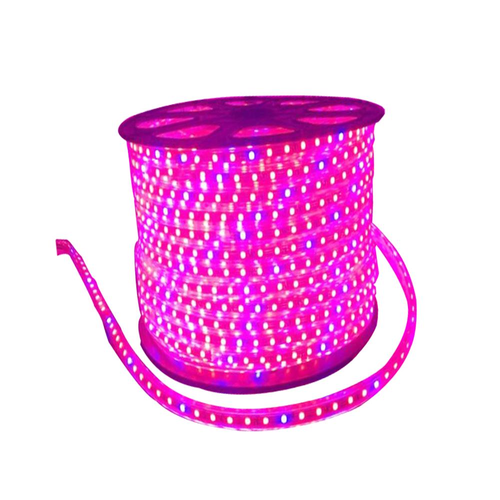 100M 10M LED Plant Grow Lights Strip Full Spectrum IP67 Waterproof AC220V For Greenhouse Hydroponic Seed VEG Flower Phyto Lamp