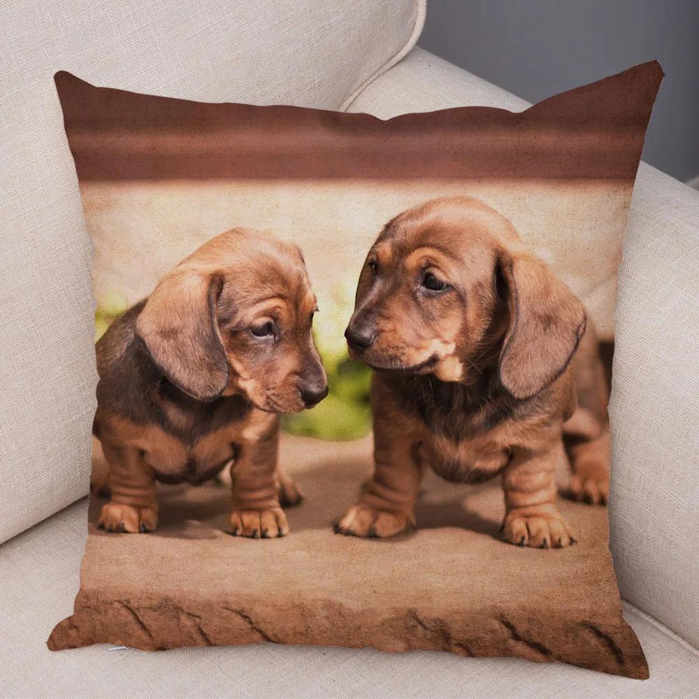 Mini Dackel Hund Kissenbezug Dekor Haustier Tier Kissenbezüge Superweicher Plüsch Kissenbezug für Sofa Zuhause Kinderzimmer 45x45cm