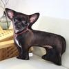 Cat & Dog Plush Toy - Corgi Chihuahua Cushion & Rag Doll