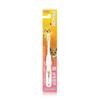 .co.jp Exclusive Reach Kids Baby Teething Toothbrush Set of 12