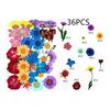 36pcs Dried Flowers Dried Pressed Flowers Leaves Authentic Natural DIY Color Candle Decoration Resin Jewelry Pendant Handicrafts Art Nail Phone Case