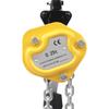 550LBS Mini Chain Hoist, Portable Hand Winch Puller Lever Hoist with 360° Hook for Garage Warehouse Construction Lifting