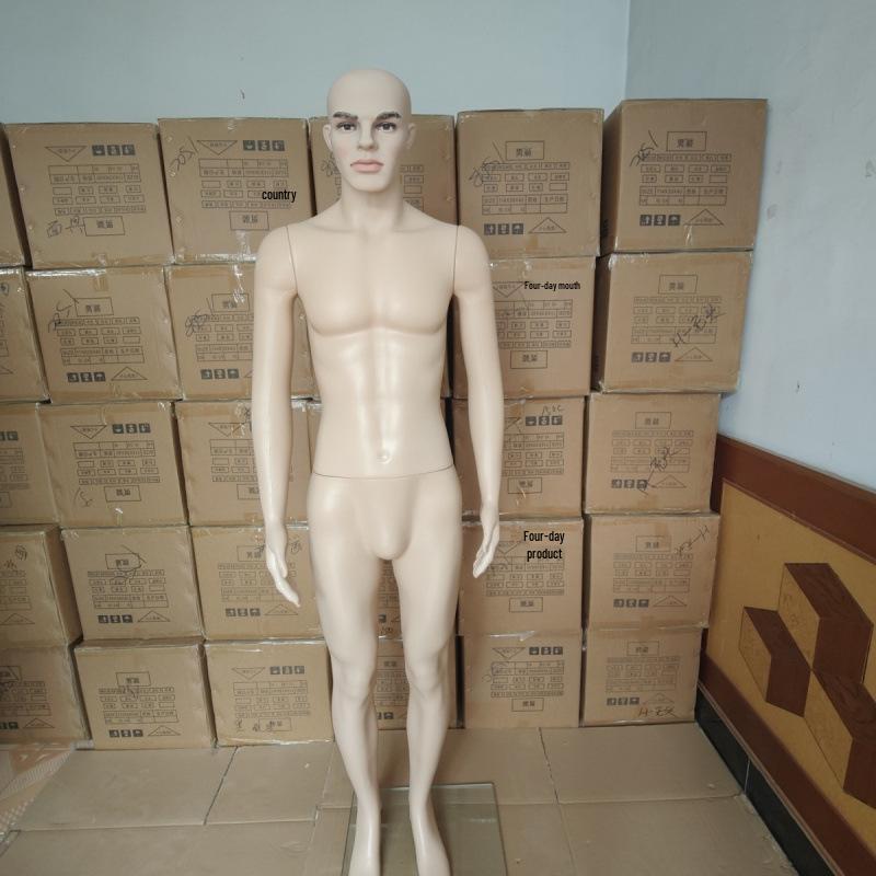 Standing Male Mannequin with Facial Features for Clothing Display