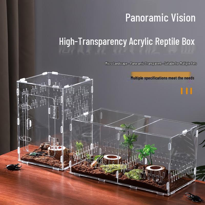 Small Acrylic Reptile Habitat: Transparent Observation Box for Spider, Lizard, Mantis, and Rainforest Landscape