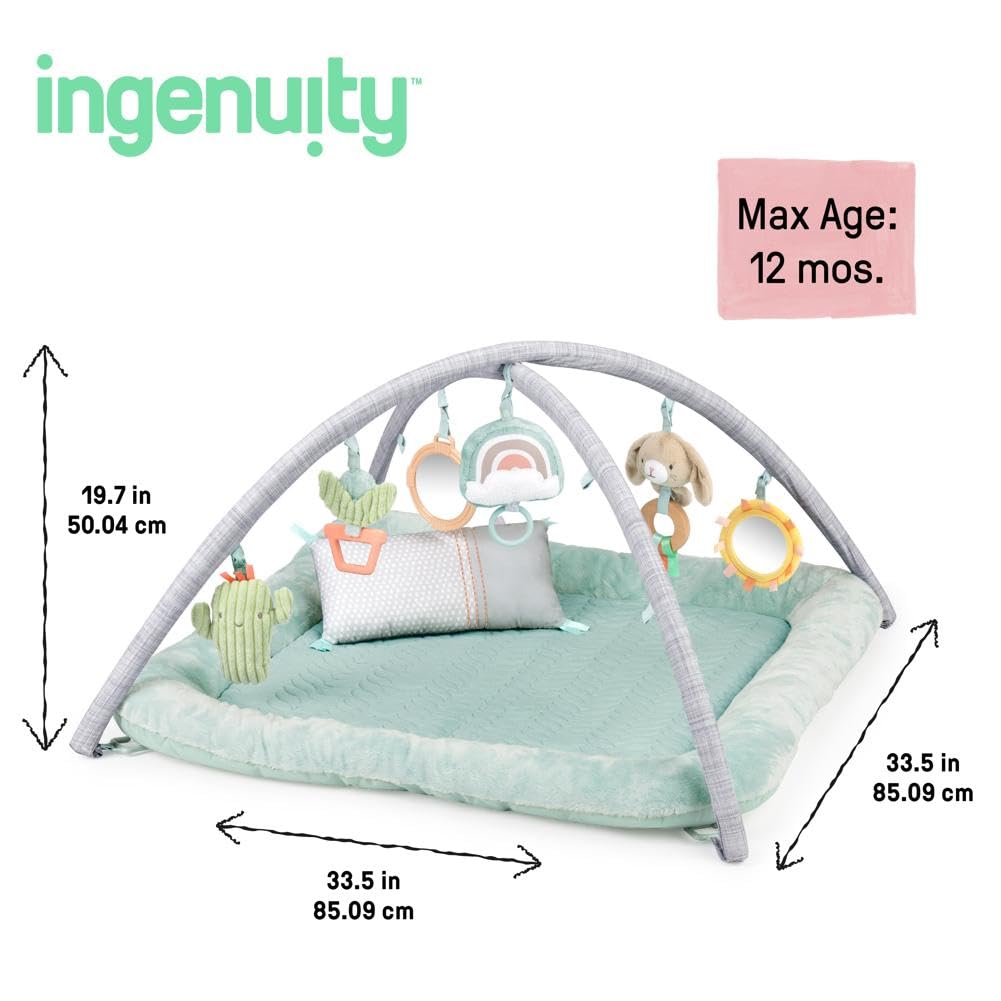 Ingenuity Calm Springs Fluffy Play Gym