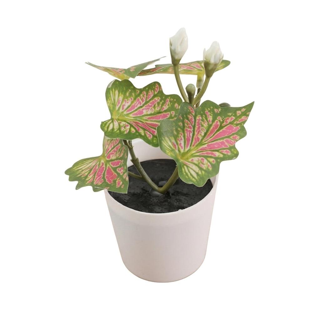 White Flowerpot Artificial Grass Bonsai Greenery Simulation Plant Potted Desktop Ornament  Gift 3