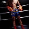 MMA Boxing Shorts Muay Thai UFC Training Combat Sports Gym Workout Men Women
