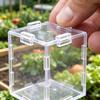 Fruchtformform zum Wachsen einzigartiger dreieckiger kubischer Früchte Transparente Kunststoffform Wiederverwendbare Gemüse-Frucht-Wachstumsform für Tomate Erdbeere