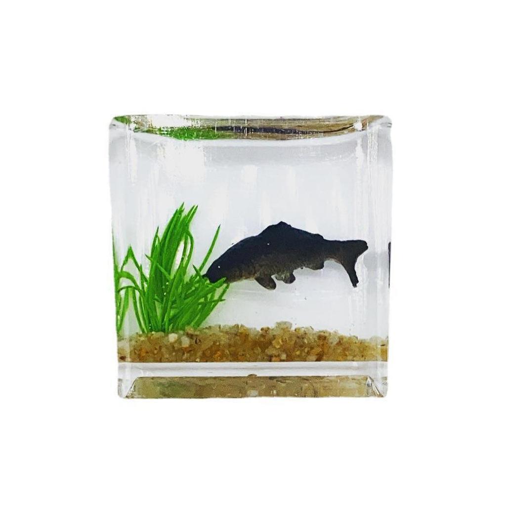 Dollhouse Miniature Glass Fish Tank Ornaments Simulation Aquarium  Model Home Decor Toy Doll House Accessories