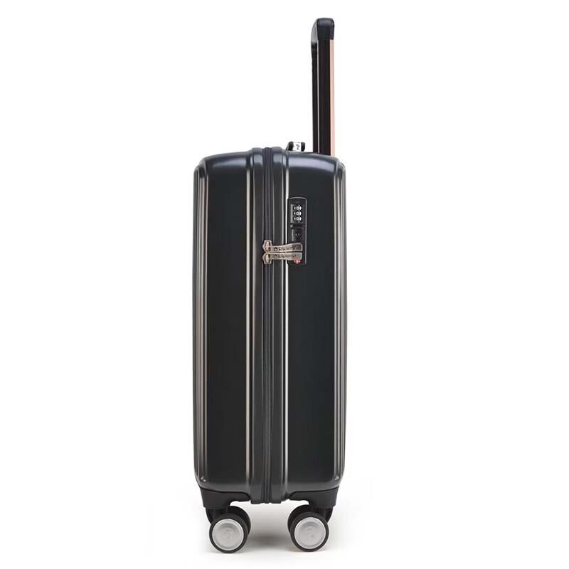 Diplomat DS-13110 Hardside Spinner Luggage