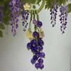 Elegant Crystal Grape Phone Chain Green Gradient Beads Woven Pendant Grape Cluster Pendant  Gifts