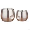 Stainless Steel Wine Glasses, Cup, Tumbler, Metal Coffee and Tea Milk Juice Cup for Beer,