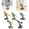 Simulationsvogelfiguren Simulierte Sammlerornamente Miniaturvögel Dekor
