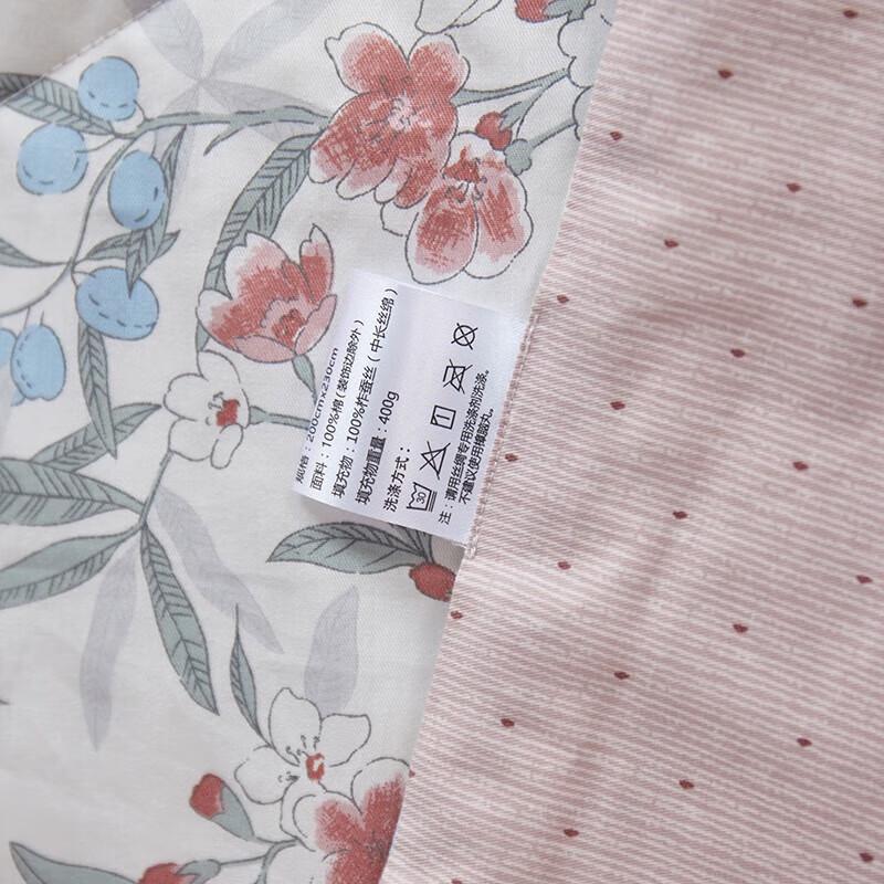 Taihu Snow Tussah Silk Cool Summer Quilt