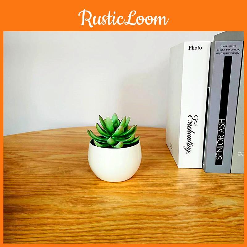 Imitation Sukkulentenpflanzenbehälter mit strapazierfähigem PVC für Heiminnendekoration