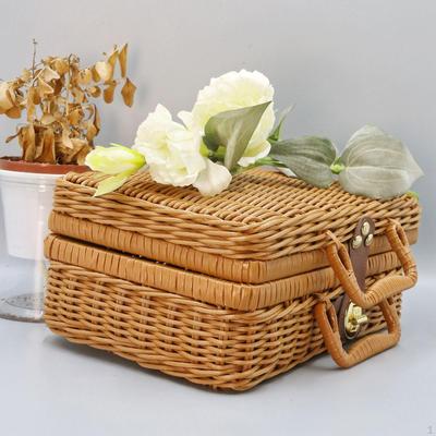 Imitation Rattan Aufbewahrungskorb Kosmetikkoffer Elegant Leicht mit Griff Kiste Koffer für
