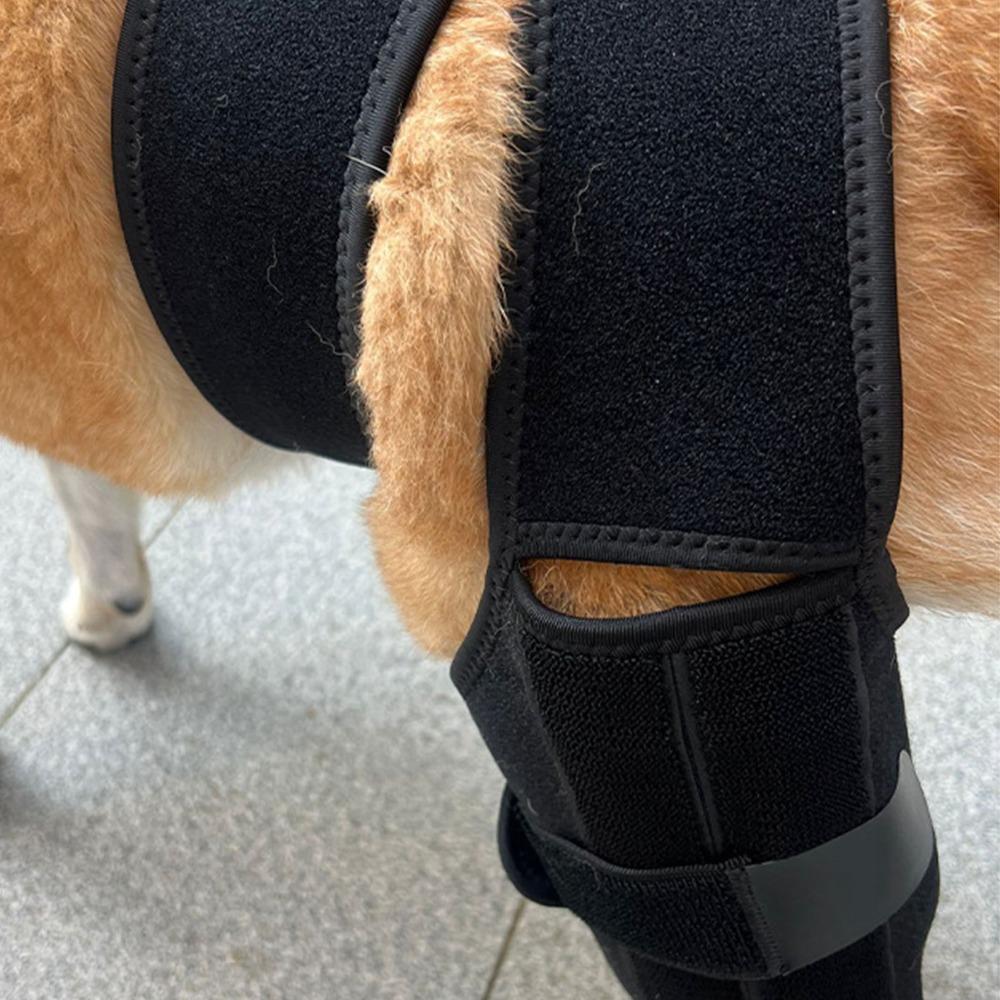 Flexible Dog Knee Brace Breathable Pet Recovery Bandage Pet Leg Support Leg Injury Care