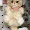 Joli Bâton Torsadé Haute Beauté Chat Fait Main DIY Tissage Ornement de Bureau Pendentif de Sac Cadeau pour Amis