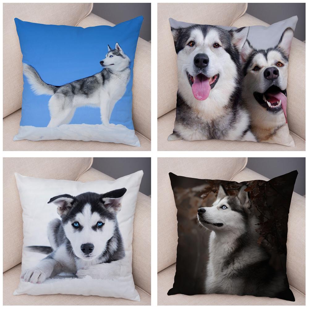Decor Cute Siberian Husky Pillowcase Pet Dog Printed Super Soft Short Plush Pillow Case 45*45cm Animal Cushion Cover for Sofa
