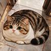 Diatomaceous Earth 3D Cat Floor Mat 45×60CM Bedroom Door Rug Creativity Bathroom Carpet  Home Decor