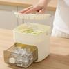 48 Cube Ice Maker with Easy Push Release Lid Ice Bin Built-in Storage Box Ice Cube Tray for Whiskey Cocktails Coffee Beverages